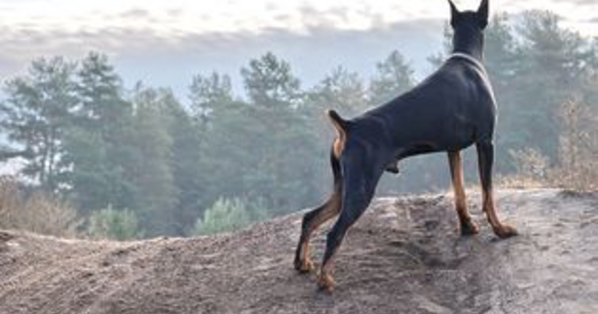 Анна Гин е журналистка и писателка, живее в украинския град Харкив. Тя