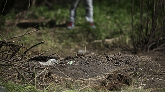 Подкрепете ниУважаеми читатели вие сте тук и днес за да