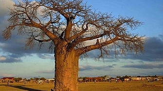 Южна Африка е готова да бъде домакин на мирни преговори