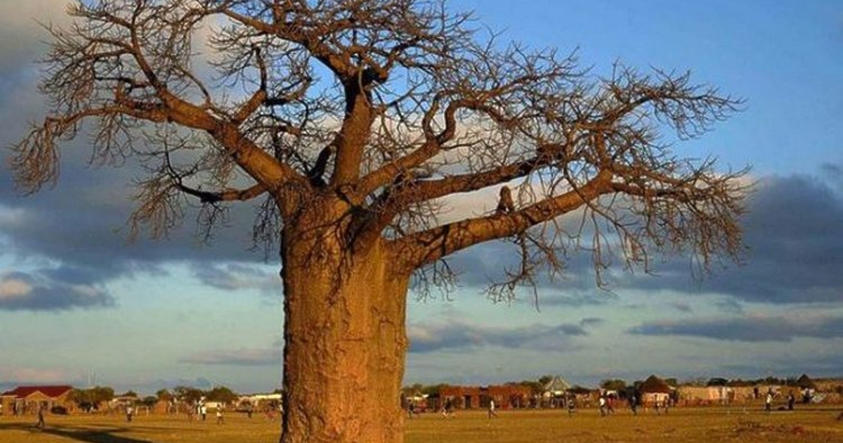 Южна Африка е готова да бъде домакин на мирни преговори