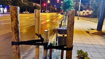 Фиданка пред билборд в столичния район Слатина е отсечена незаконно информира