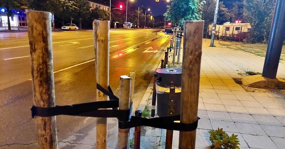 Фиданка пред билборд в столичния район Слатина е отсечена незаконно, информира