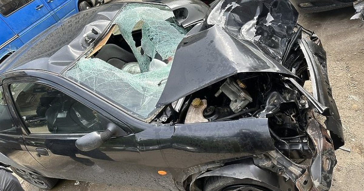 Тежка катастрофа със загинали деца е станала край Козлодуй. В