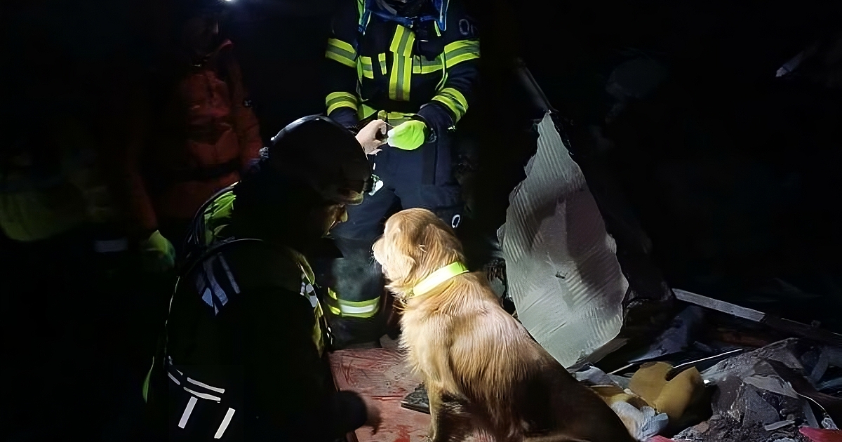 Над 1600 специалисти от 21 членки на ЕС и партньорски