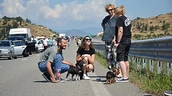 Интензивен е трафикът на граничните пунктове с Румъния Гърция и