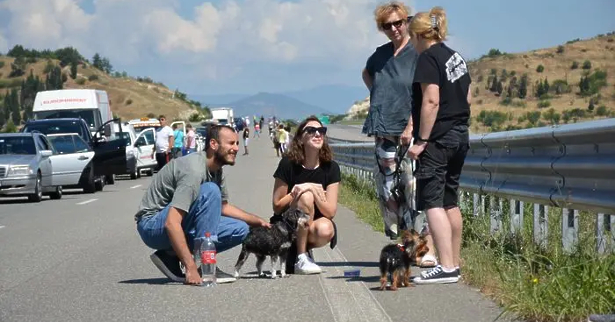 Интензивен е трафикът на граничните пунктове с Румъния, Гърция и