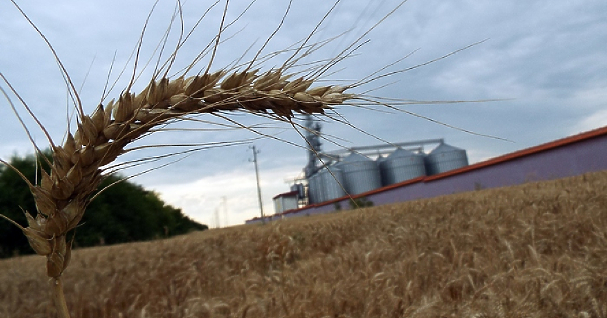 Русия прекрати участието си в сделката, позволяваща износа на украинско