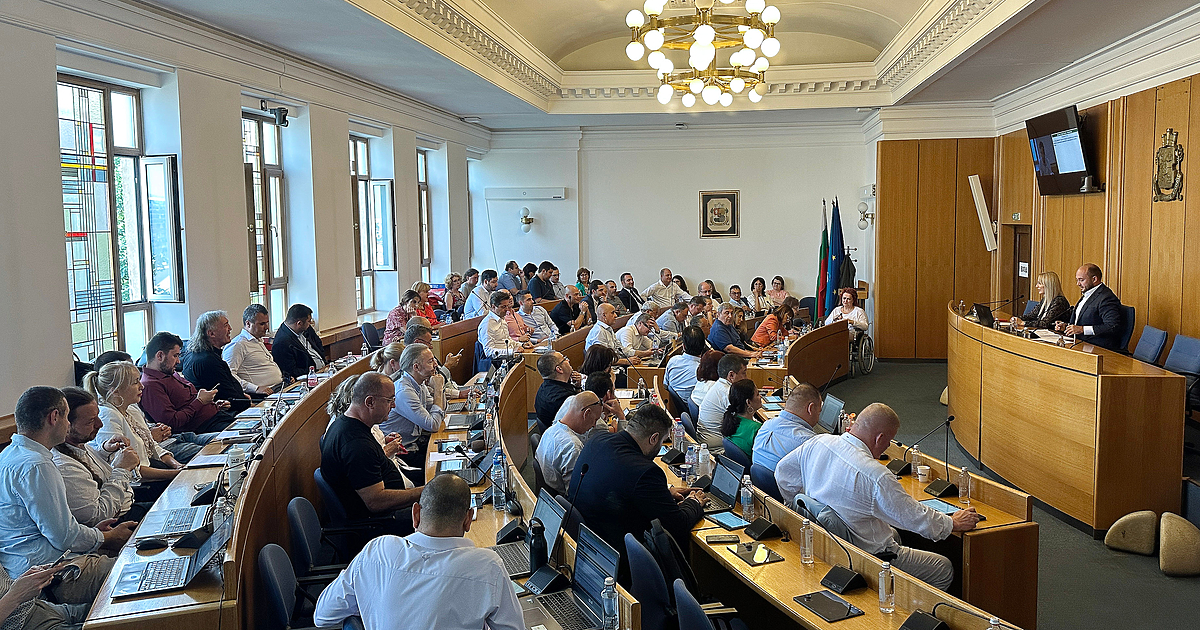 Ако има дясноцентристки блок, синя София да си остане синя