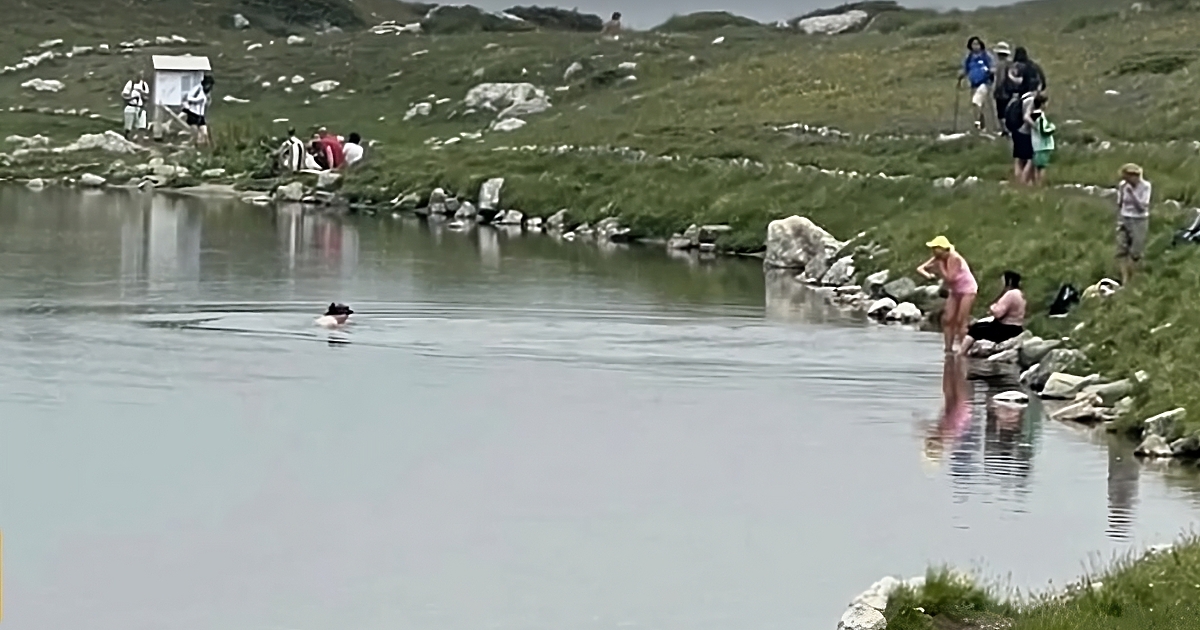 Гражданка невъзмутимо се изплацикала в едно от рилските езера -