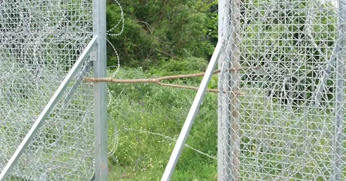 От началото на 2023 г. до 7 август предотвратените опити