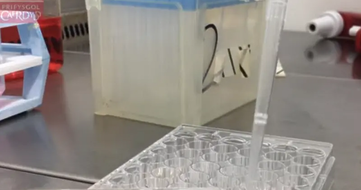 Един от най-големите центрове за изследване и лечение на рака