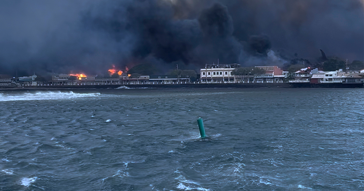 Най-малко 36 души загинаха, след като горски пожари, раздухани от далечен