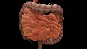 Австралийски учени в международен екип са направили пробив в откриването