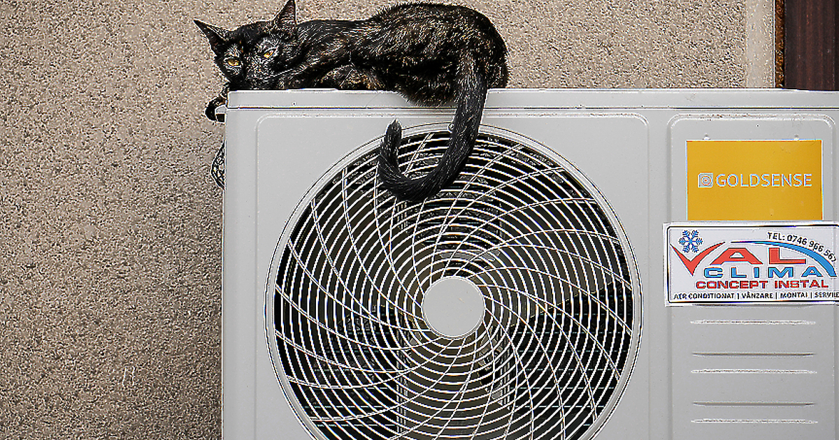 Средно с 0,6 на сто се увеличават разходите за заплати