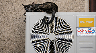 Широко разпространени в САЩ осъждани в Европа желани в Южна