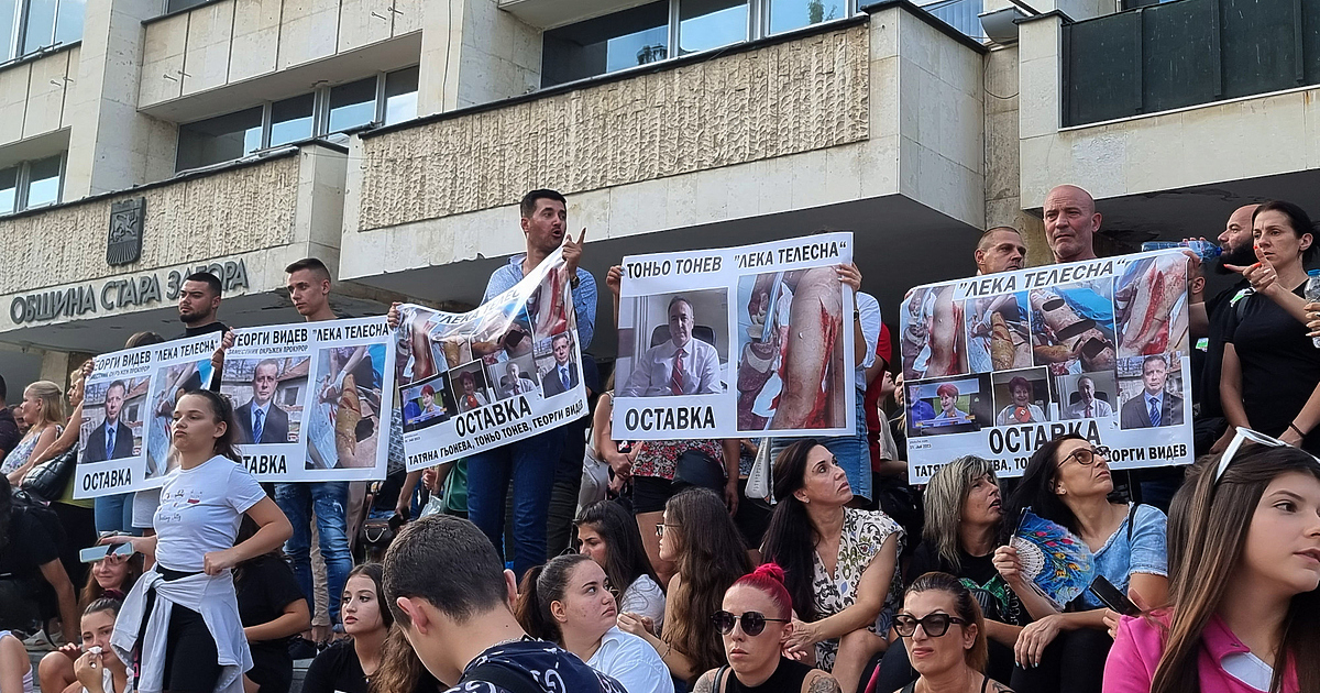 За 2022 г. идентифицираните случаи на домашно насилие са 736,