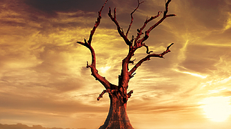 В изолиран австралийски град застигнат от безкрайна суша харизматичен и