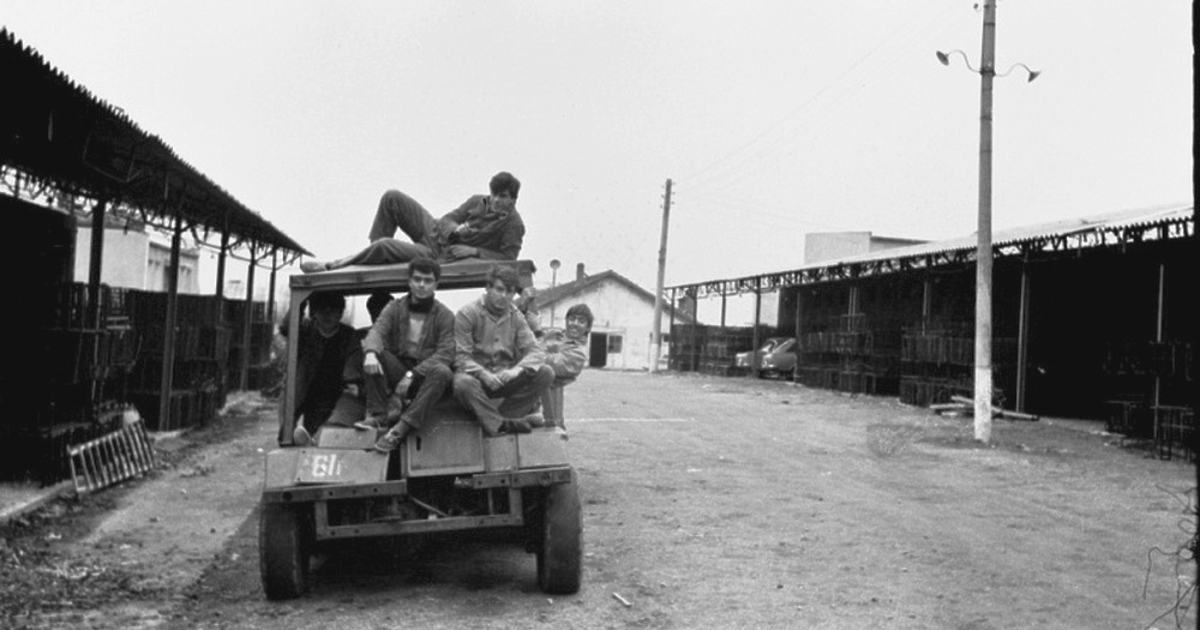 В началото на юли в рубриката ни 100 въпроса за