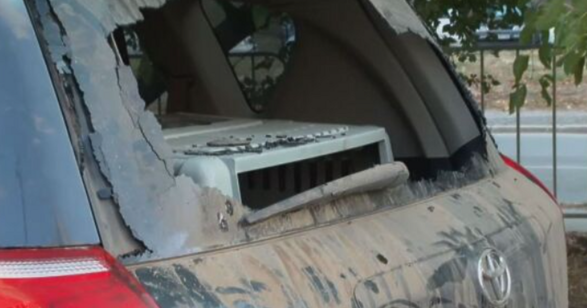 Две кучета са умрели, след като собственикът им ги е