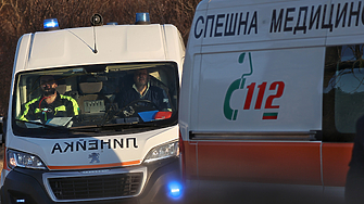 Камион е блъснал смъртоносно днес 6 годишно момченце в Ришкия