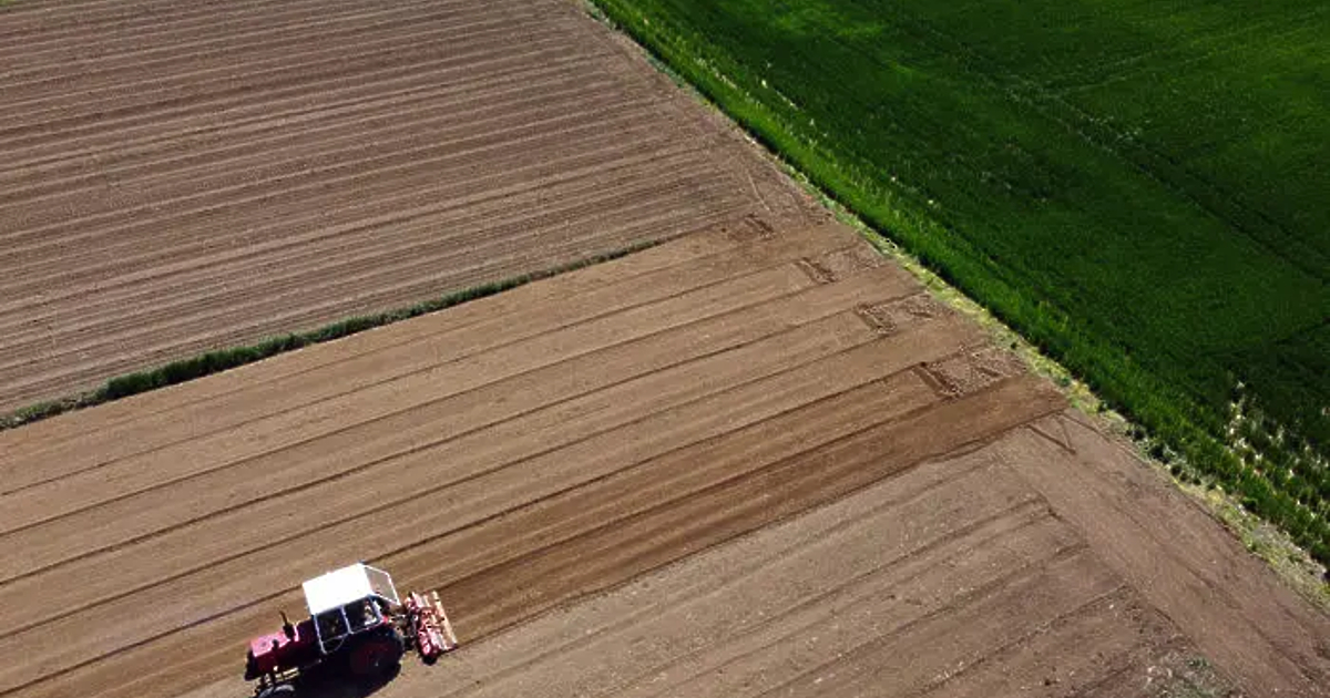 Трима души са арестувани в България, а шест офиса са