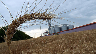 Народното събрание подкрепи отпадането на забраната за внос на зърно