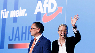 Демоскопският възход на AfD продължава и бележи рекорд в историята