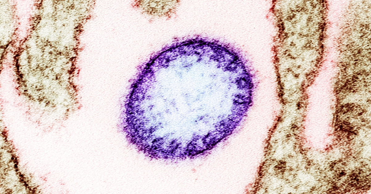 Щат в Южна Индия взема мерки да ограничи инфекция с