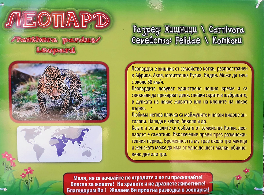 Леопард ухапа по пръста момиче в зоопарка във Варна