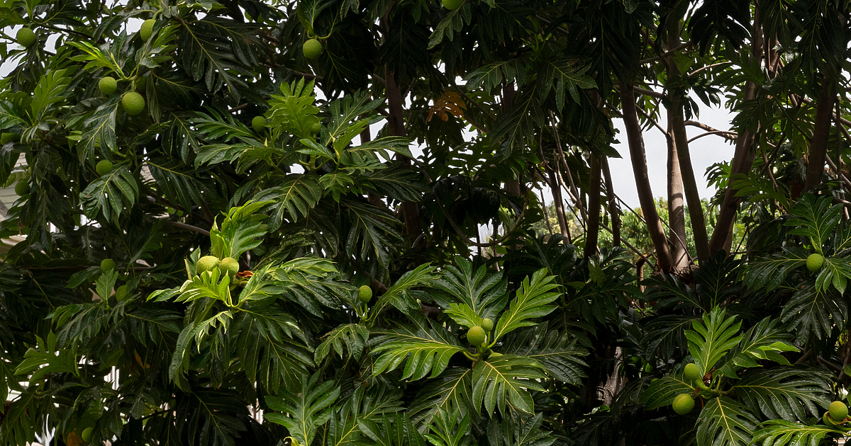 Едва ли е учудващо, че интериорният дизайн се влияе от