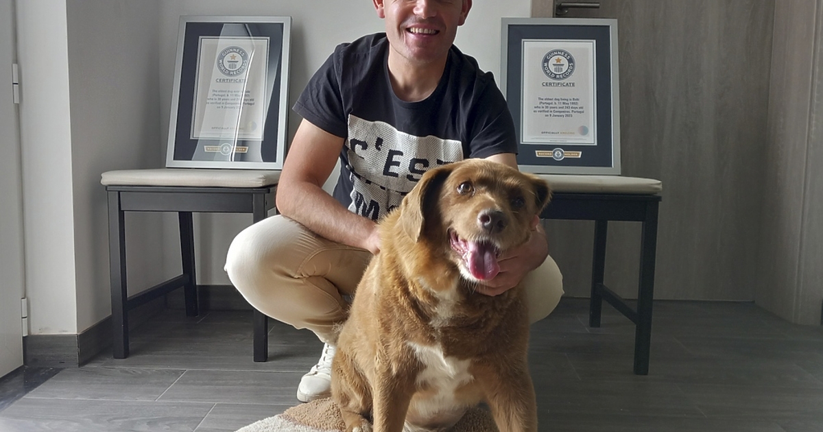 Боби, най-старото куче в света, е починало на 31-годишна възраст