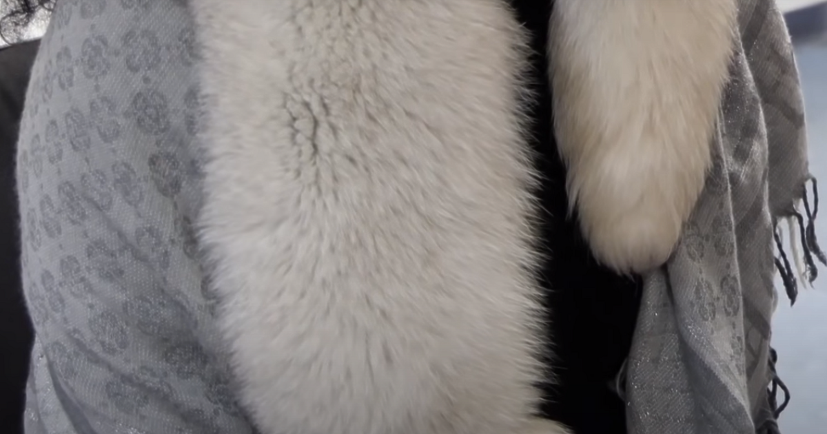 Проблемът с българската ЕЗА (европейска заповед за арест), както е