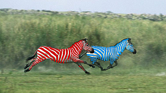 На 5 ноември неделя в страната се провежда вторият кръг