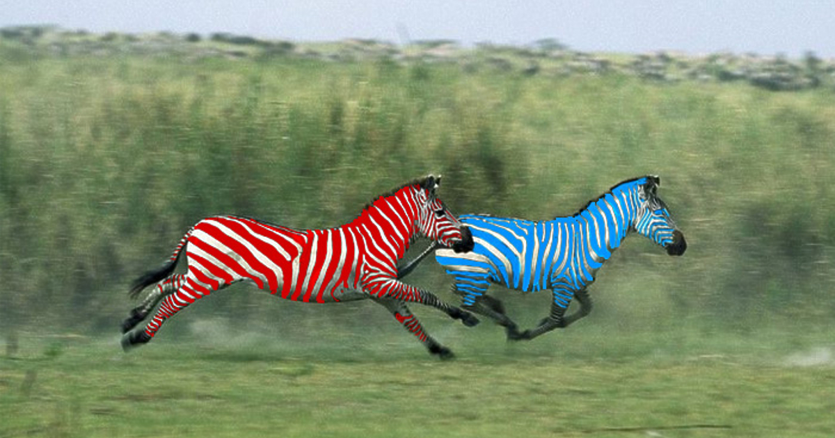 На 5 ноември, неделя, в страната се провежда вторият кръг