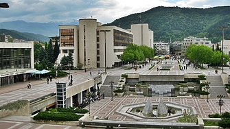 И зебрите в Благоевград тичат без изненада в ранния час Какво