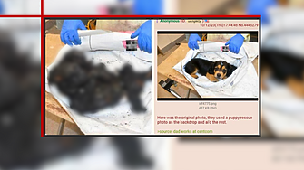 Снимката на която се виждат овъглените останки на бебе в