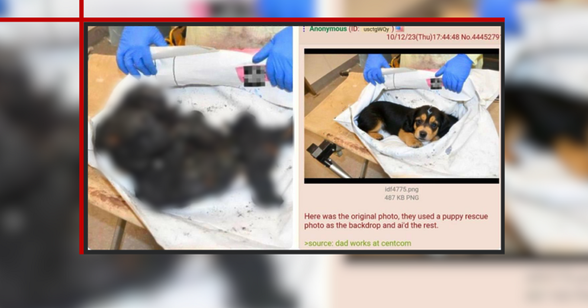 Снимката, на която се виждат овъглените останки на бебе в