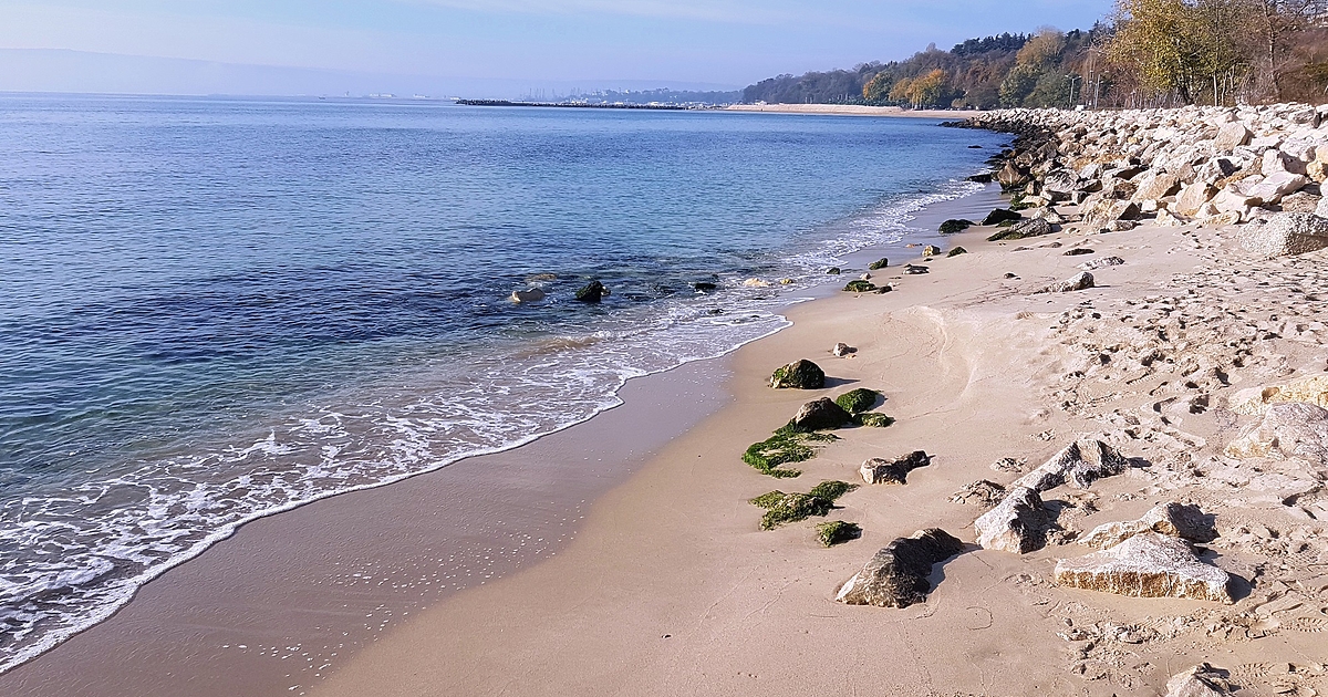 Зебрата, която остана втора на първия кръг във Варна преди