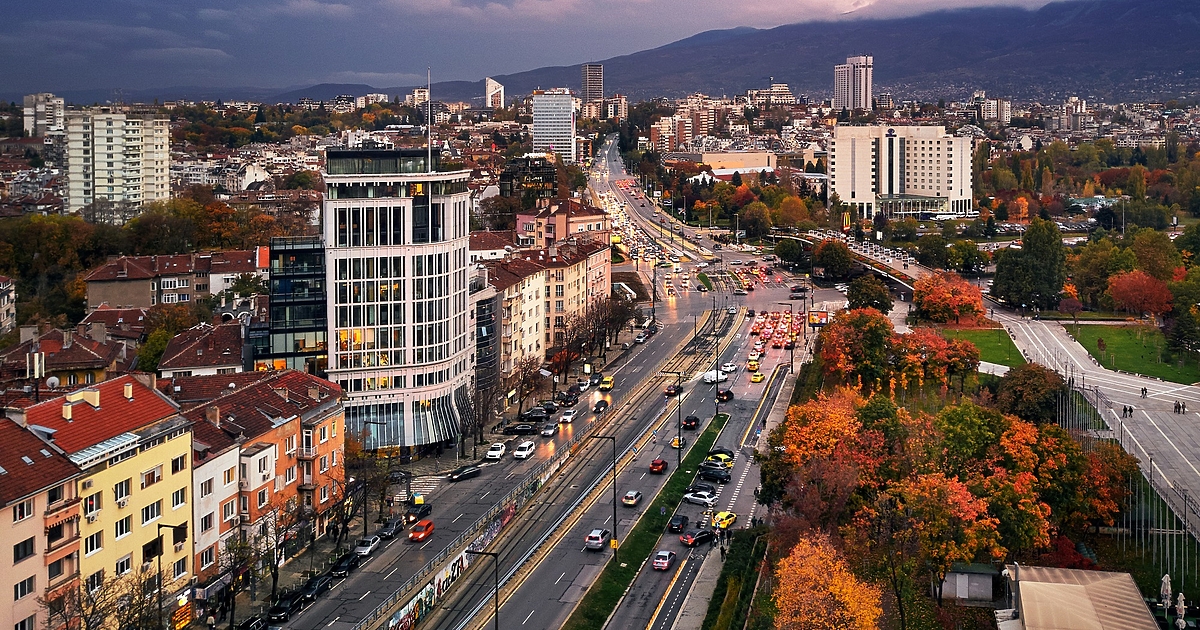 Стабилна се запазва дистанцията между зебрите на хиподрума в София,