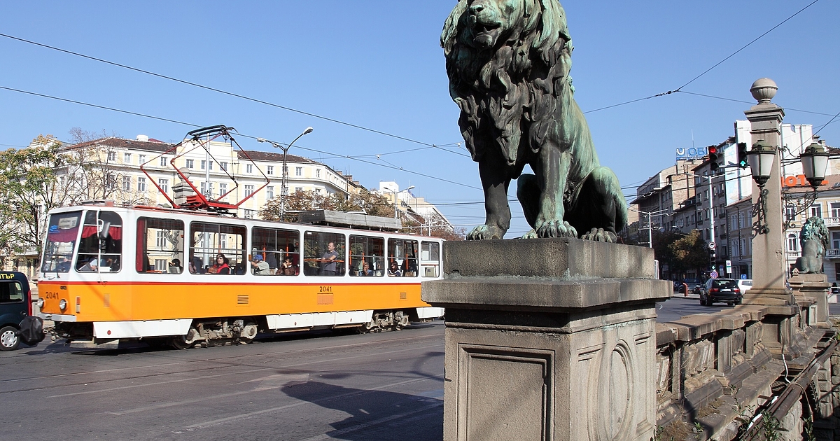 Зебрите в София вече тичат. Вижте старта им според данните