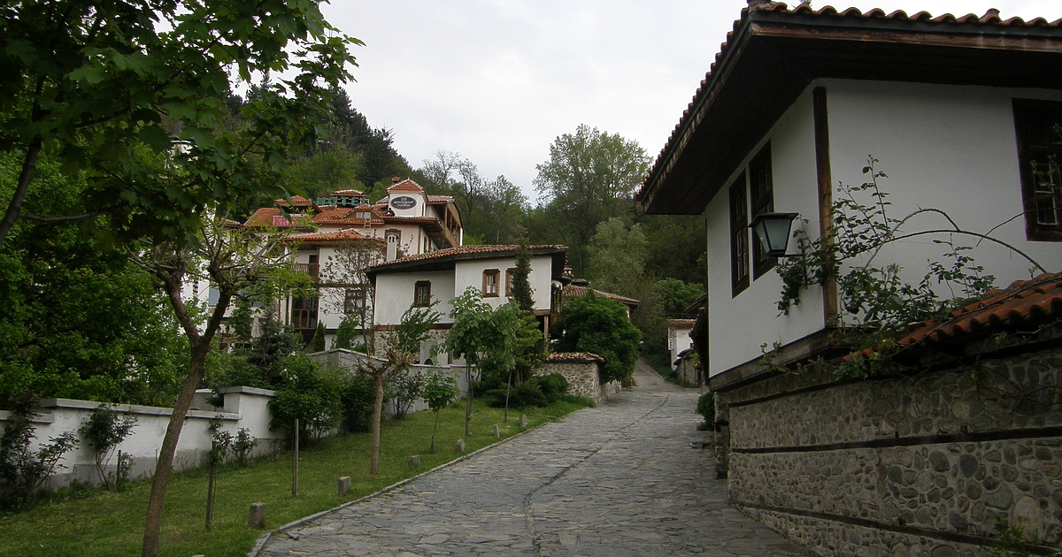 Към 11:30 ч. местното състезание за зебри в Благоевград протича