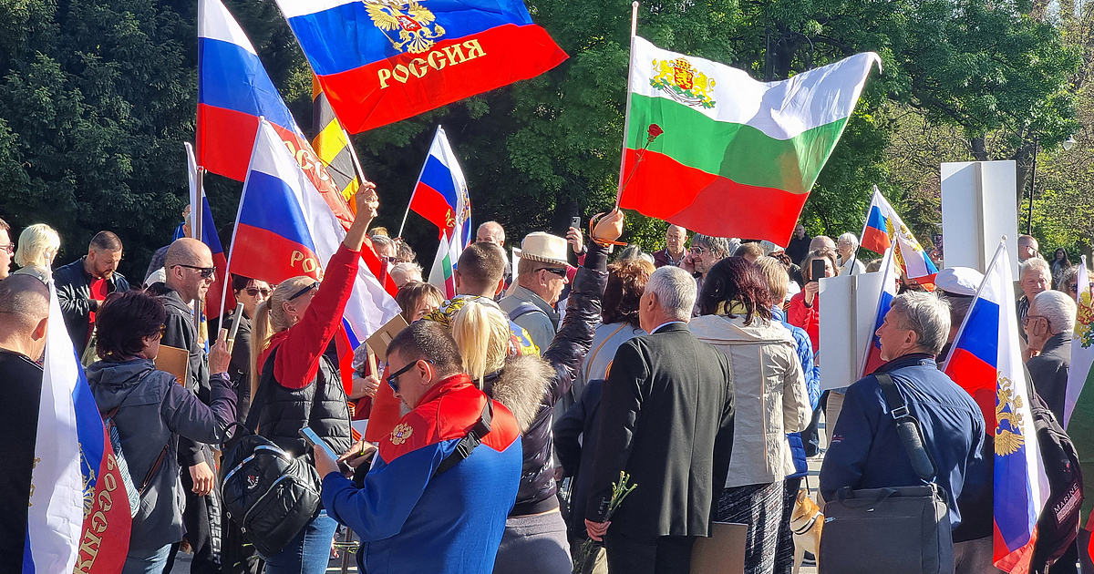 Фондация Humanity for Freedom и фондация Humanity for Freedom –