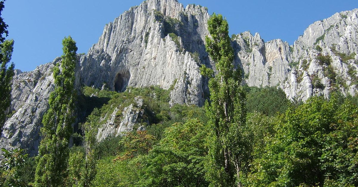 14%, 17%, 19%, 24%, 27%... Това не е бинго, а извадка