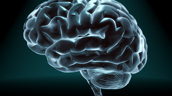 Конгресмени искат разследване за измама с ценни книжа срещу Мъск - заради мозъчните импланти Neuralink