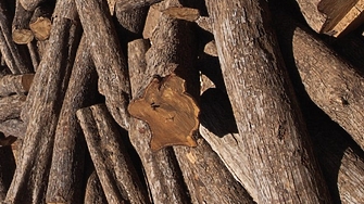 Трафикът на дървен материал незаконното рециклиране на замърсяващи части от