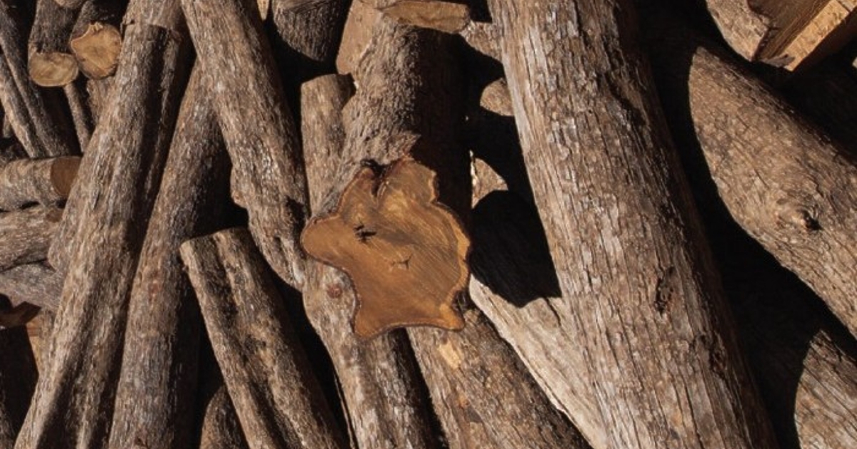 Трафикът на дървен материал, незаконното рециклиране на замърсяващи части от