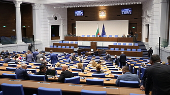 Парламентът създаде временна комисия за полицейското насилие по време на