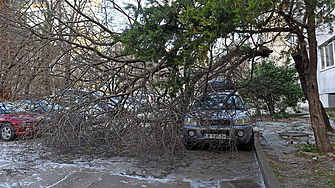 Бедствено положение е обявено в община Варна заради силния ураганен