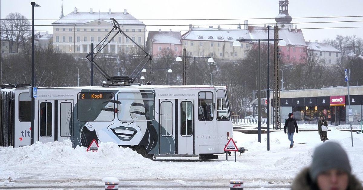 В Естония съществува т. нар. единно училище. Всички деца там учат заедно