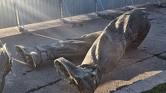 Решението от вчера на Административен съд София град важи само за